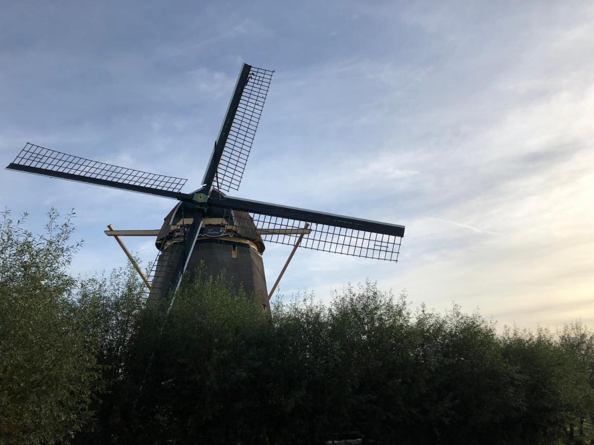 אאודקרק אן דה אמסטל Villa Antonius Amsterdam מראה חיצוני תמונה